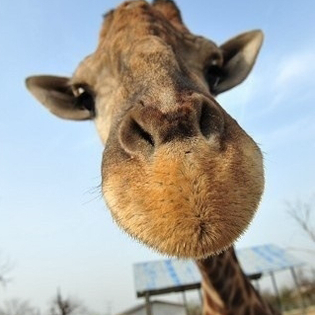 Wanna Do（Prod by BECU BEATZ）