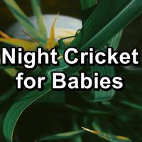 Crickets - Tinnitus Sleep Solution