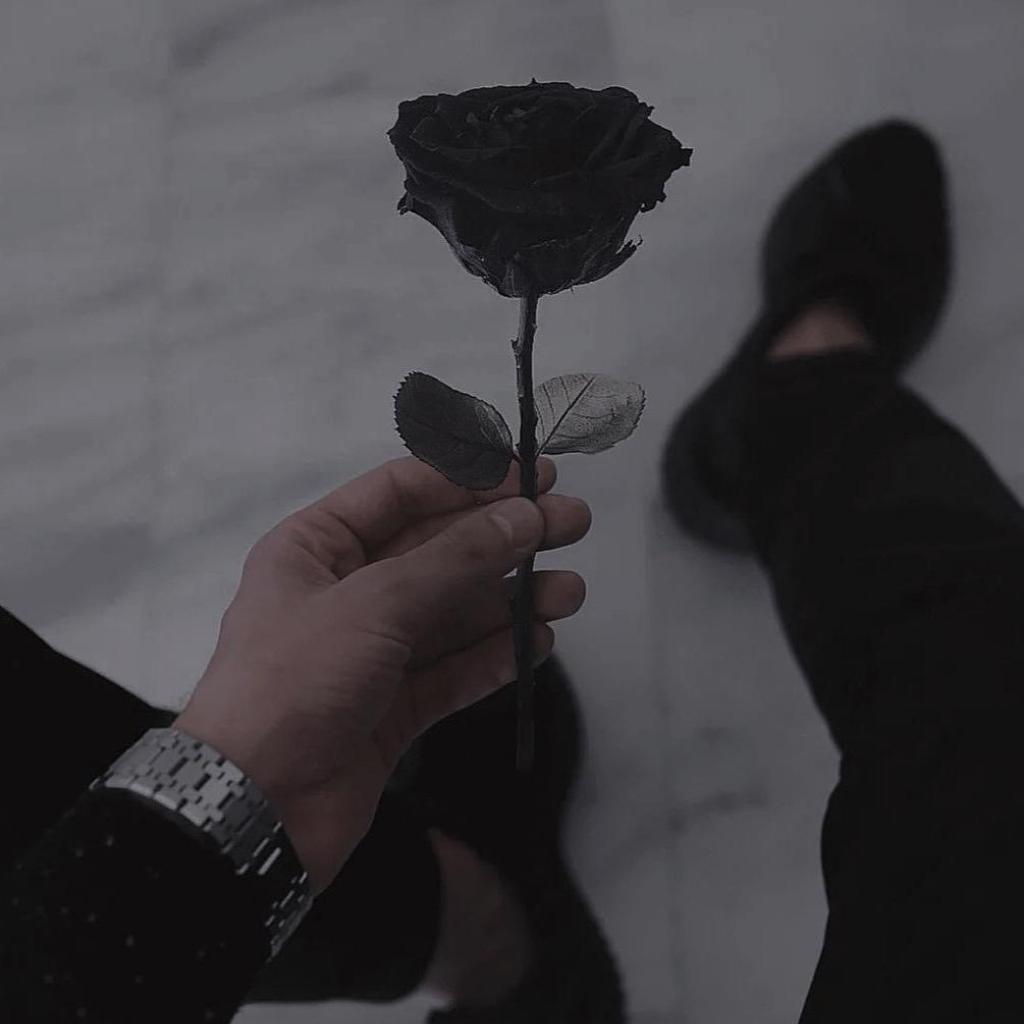 林深见鹿_深海见鲸