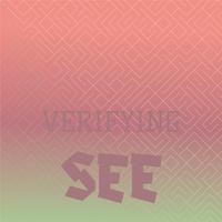 Verifying See