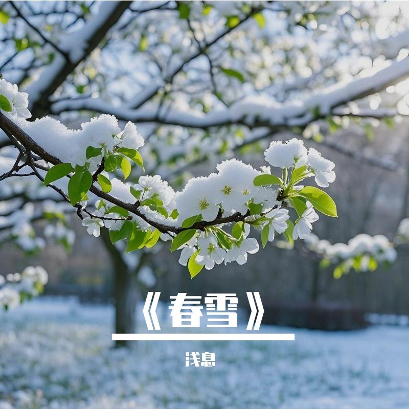 春雪