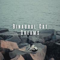 Binaural Cat Dreams: Serene Ocean Tunes and Theta Waves