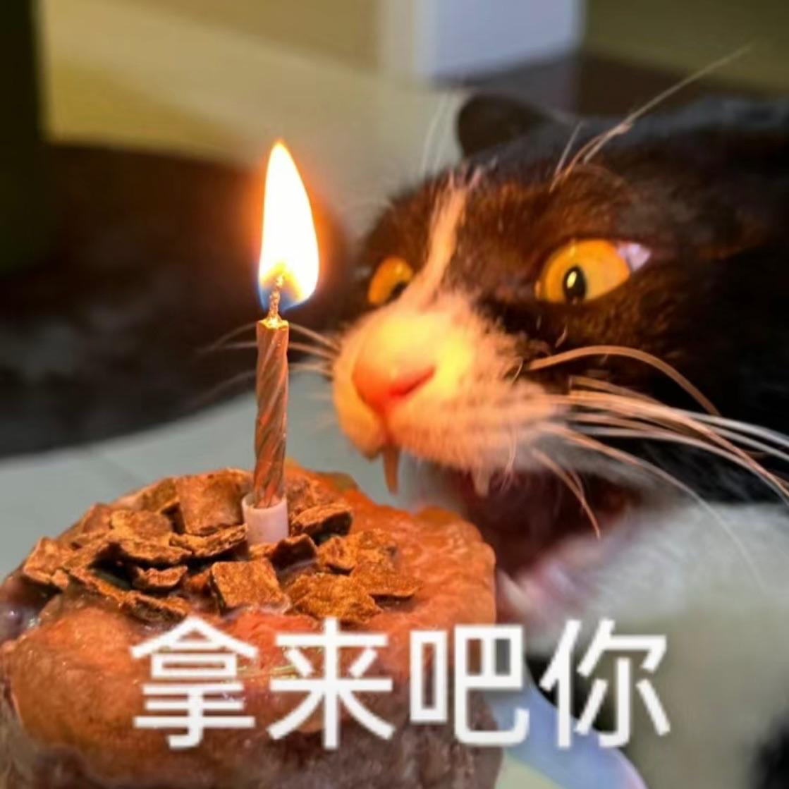欧巴我不傻封面