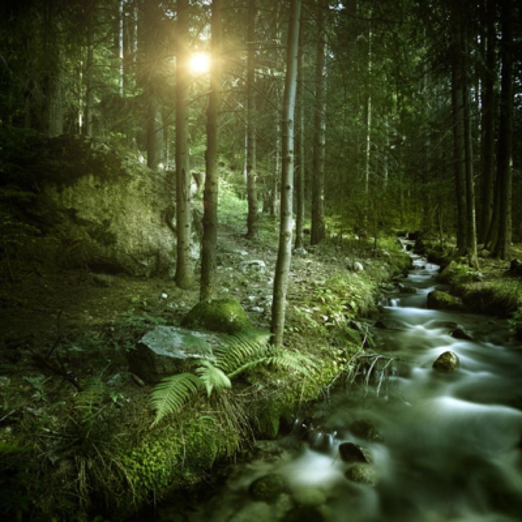 『纯音乐』Echo of History