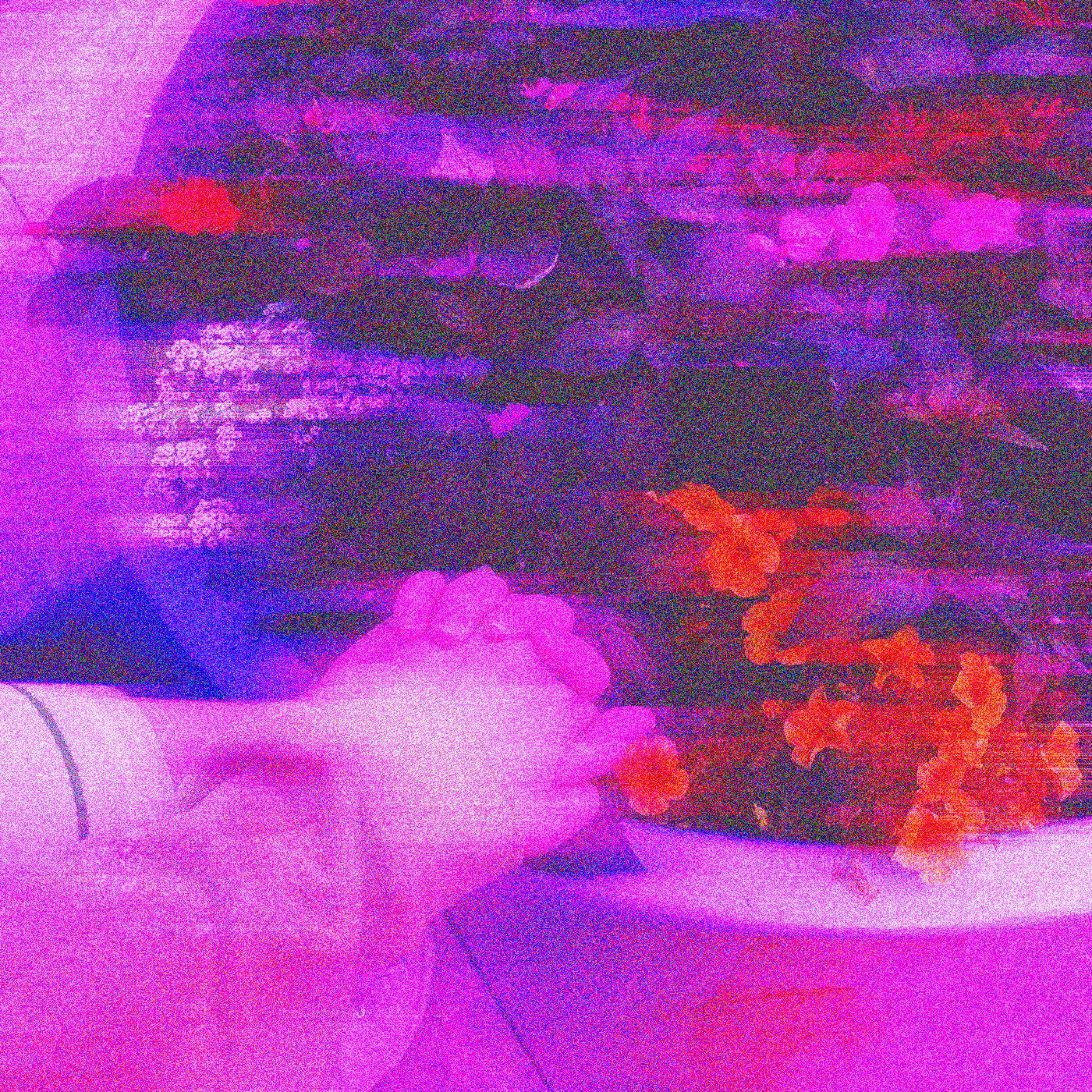 Right Here, In The Realm Of Thought