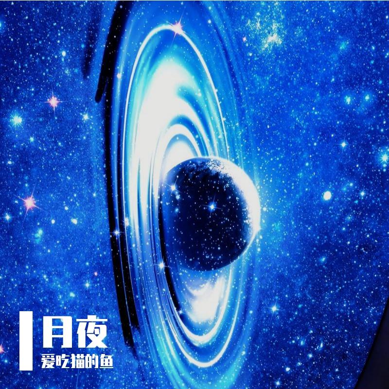 月下弦音叹流年