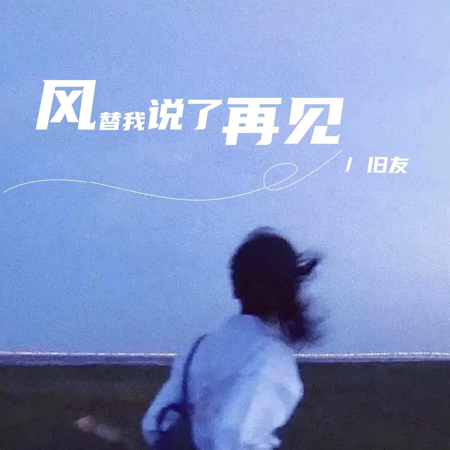 风替我说了再见封面