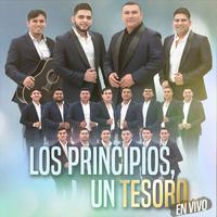 Los Principios Un Tesoro