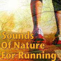 Sounds Of Nature For Running, Vol.2