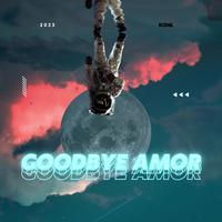 Goodbye Amor
