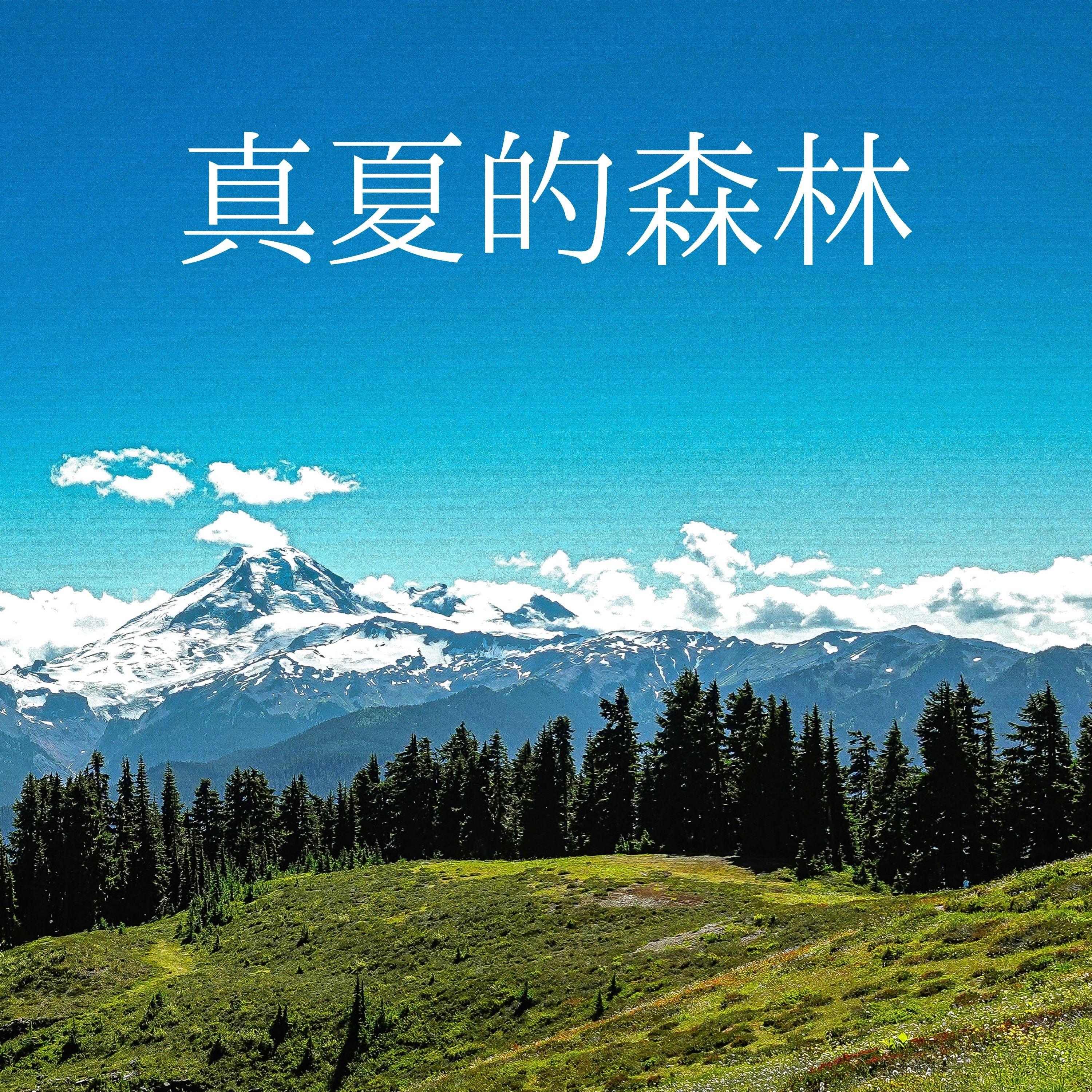 纯净的河水流封面