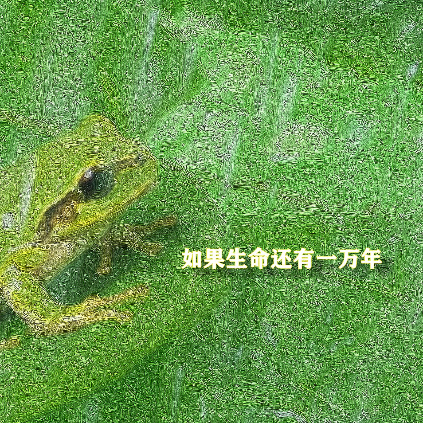 如果生命还有一万年封面