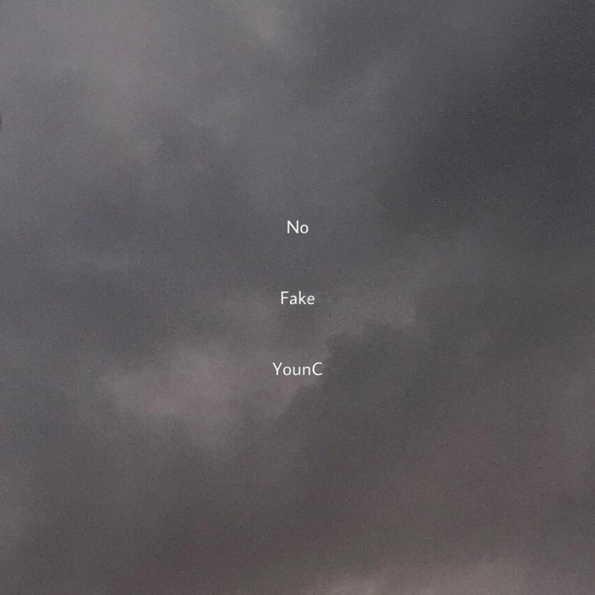 No Fake