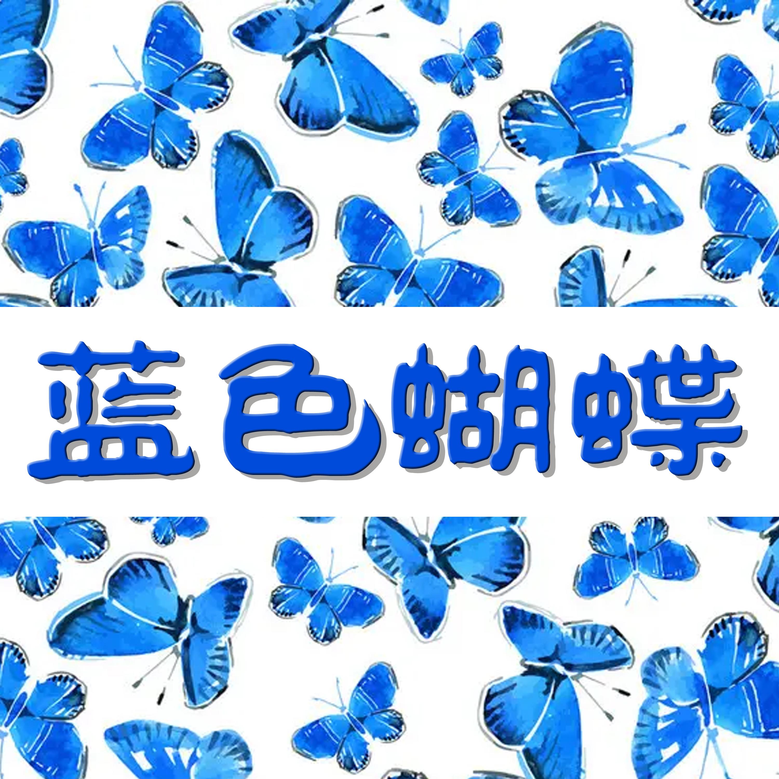 漂泊封面