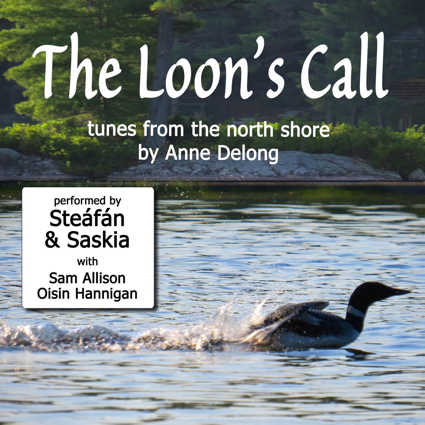 The Loon's Call / A Walk in the West Wind / Over the Iron Gate (feat. Oisin Hannigan)