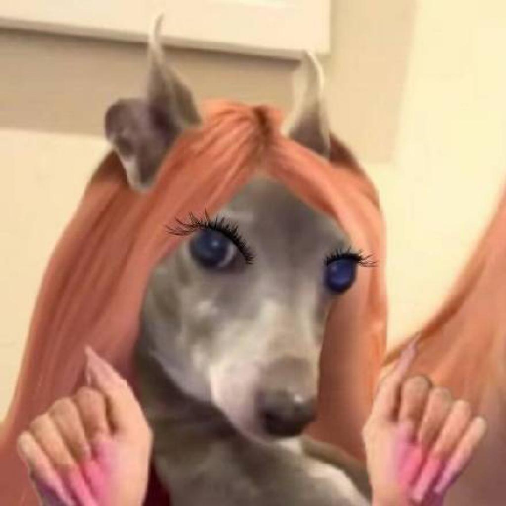 多麻多辣多酸土豆粉