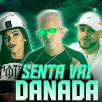 Senta Vai Danada (Brega Funk)