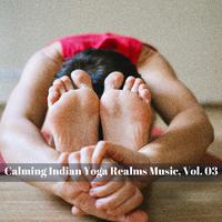 Calming Indian Yoga Realms Music, Vol. 03