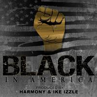 Black in America