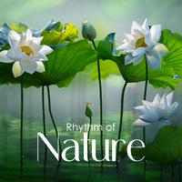 Rhythm of Nature (Oasis of Natural Healing and Awareness, Organic Soundscapes Meditation)