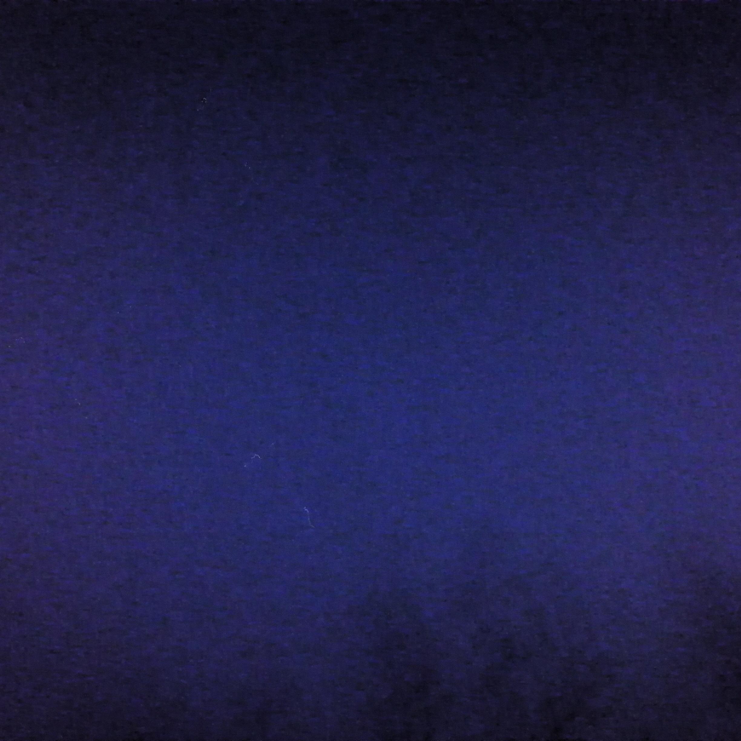 斑马斑马（翻自 房东的猫）