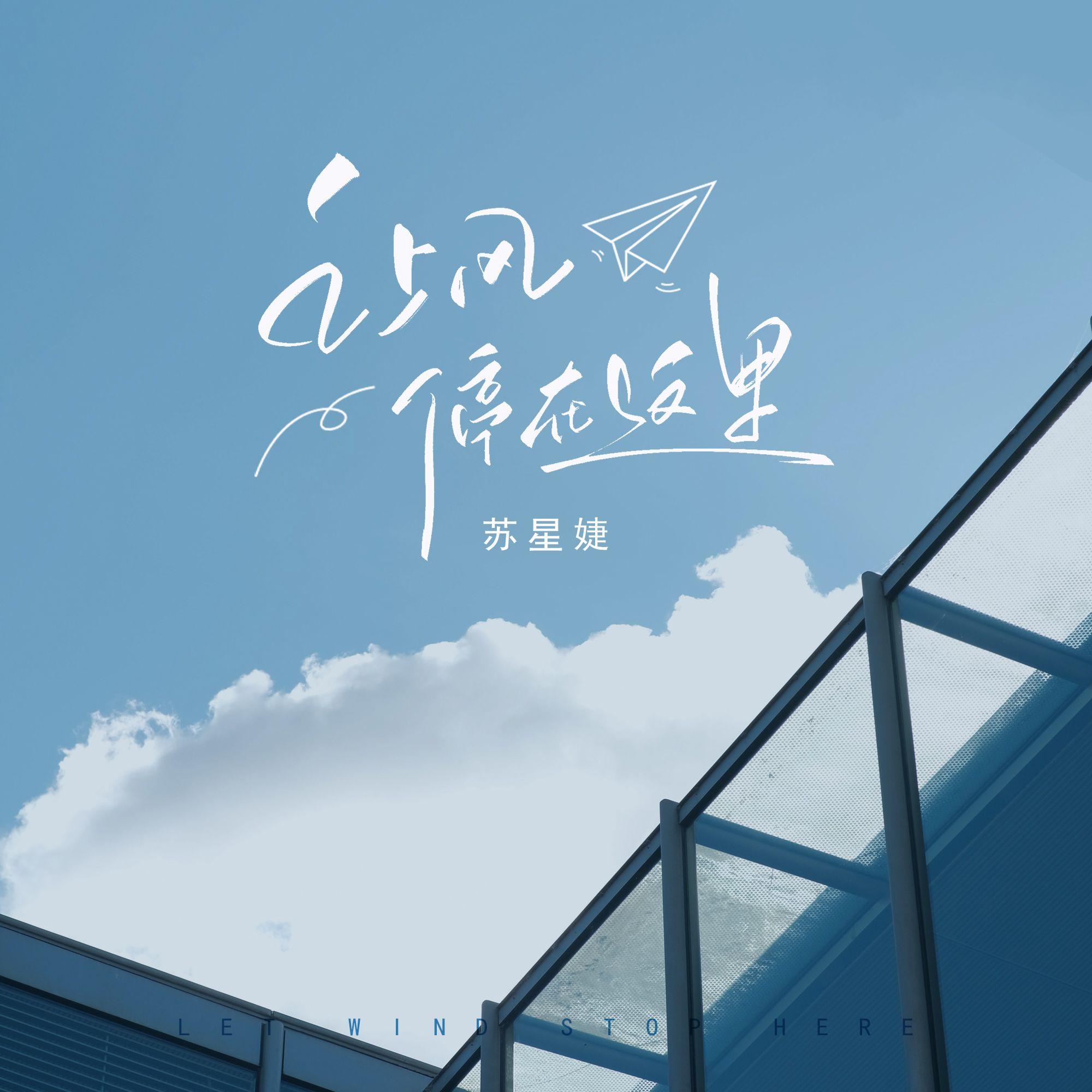 让风停在这里封面