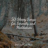 50 Sleepy Songs for Serenity and Meditation