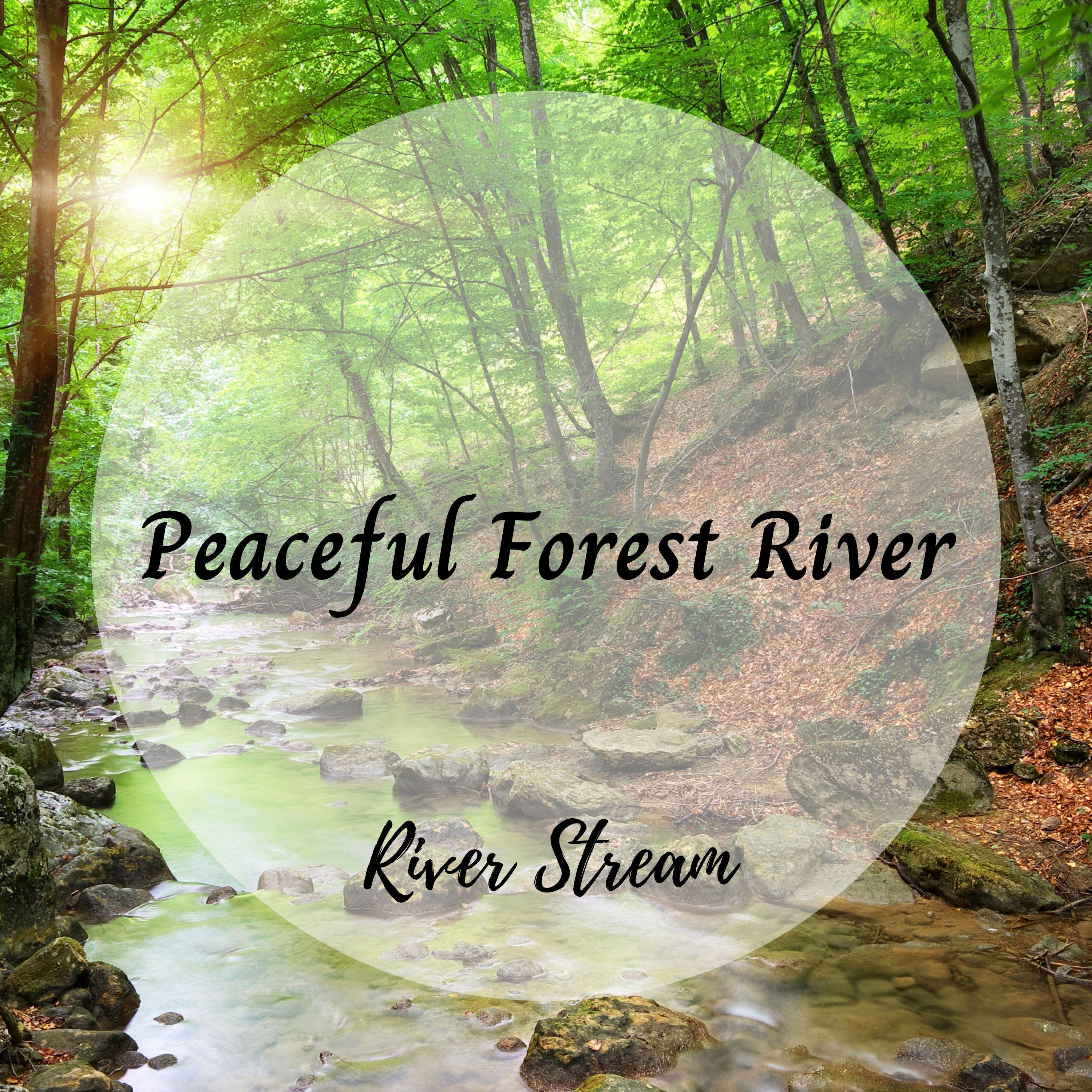 Waterfall Stream_Water Effects Center_River Stream: Peaceful Forest River | 在线播放_Waterfall Stream歌词_Waterfall Stream下载 | 网易云音乐