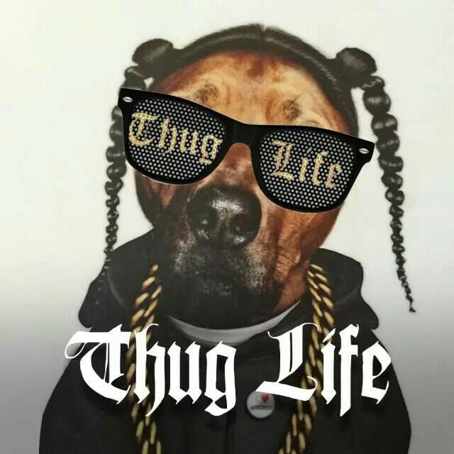 Thug Life系列背景音乐