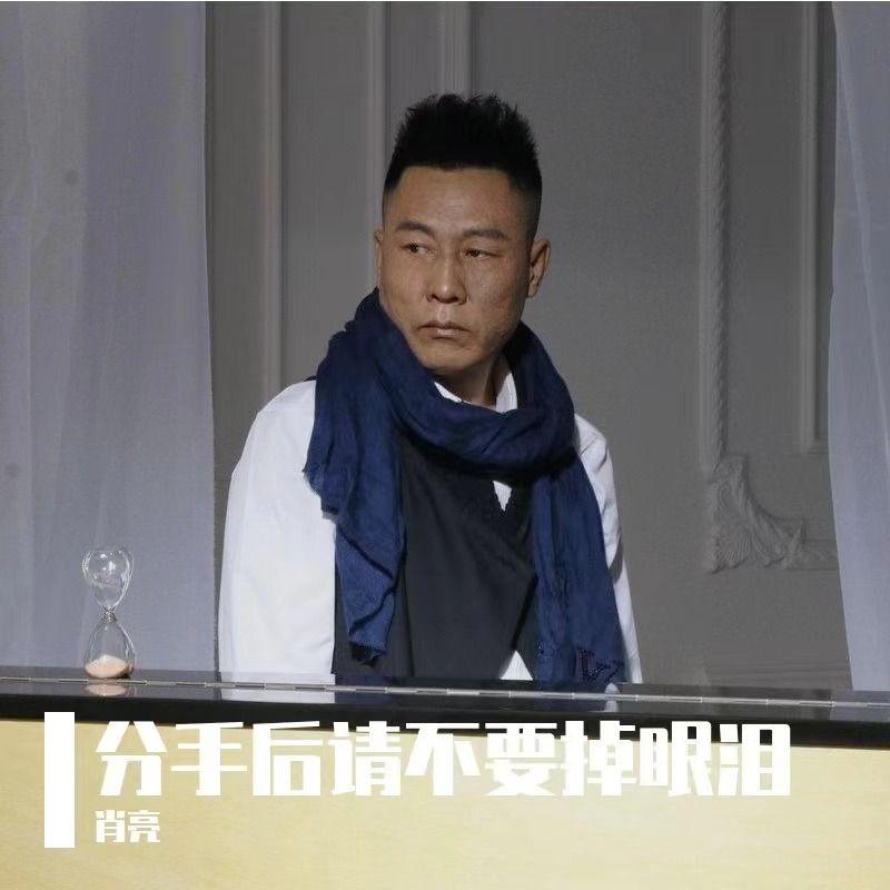 分手后请不要掉眼泪封面