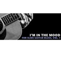 I'm in the Mood Slide Guitar Blues, Vol. 1