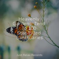 Heavenly Gardens: Tend To 100 Star-Filled Sanctuaries