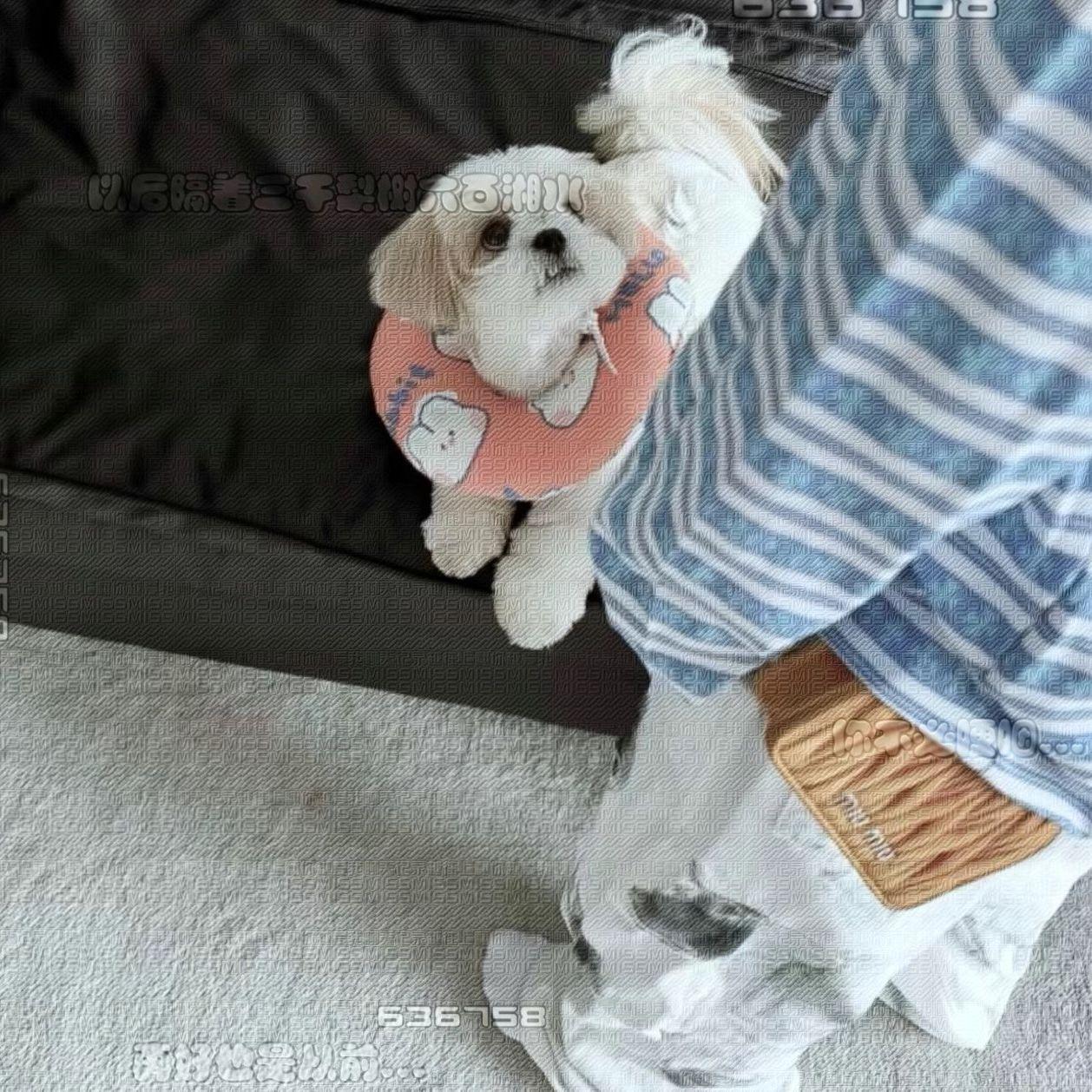 Studio Session Sorrow