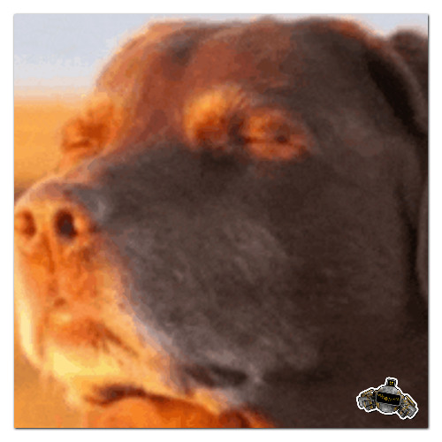 WORK (CRANKDAT REMIX)