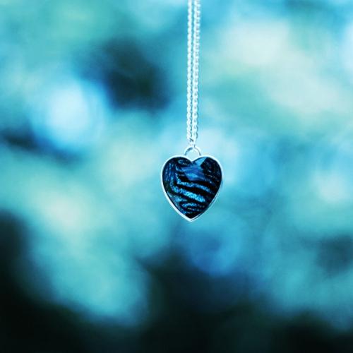 经典单曲之My Heart Will Go On（我心依旧