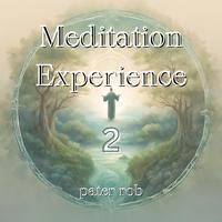 Meditation Experience 2