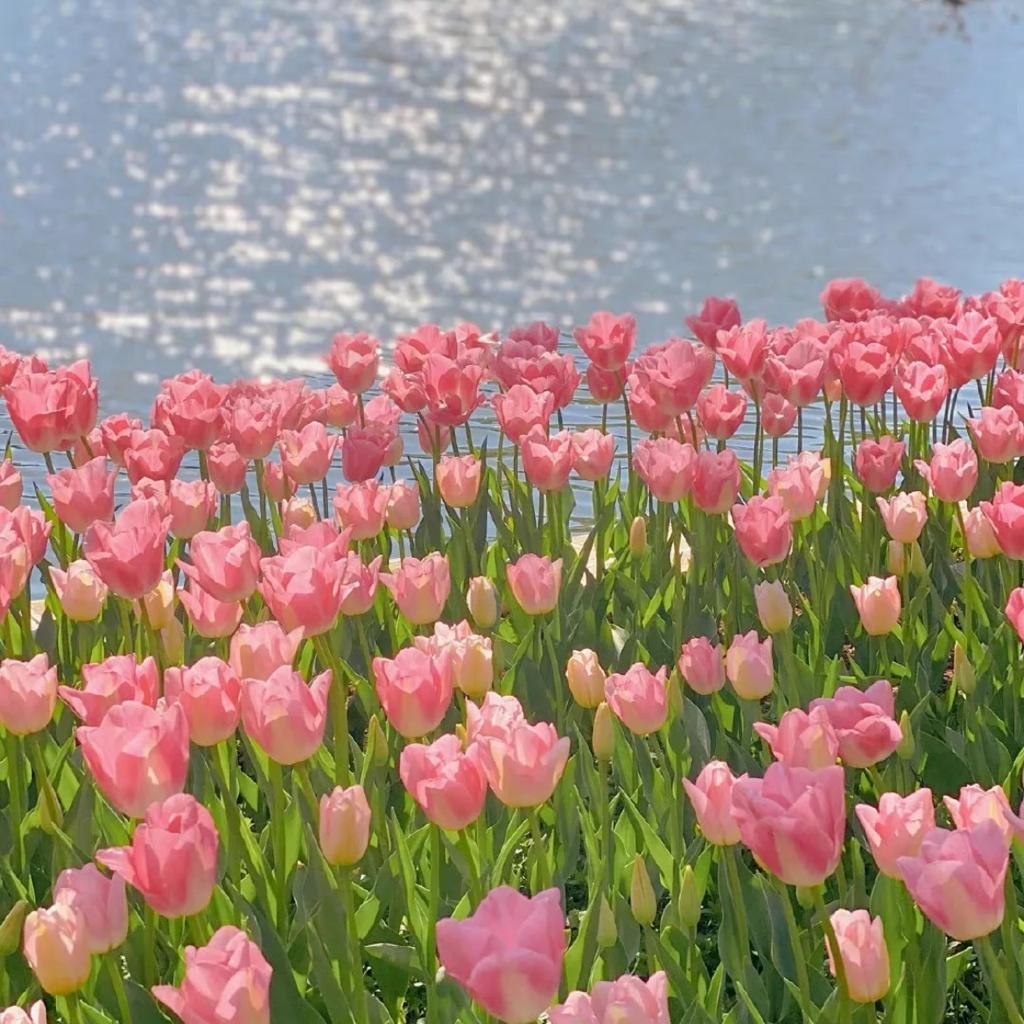 旧疾当愈 万象更新.