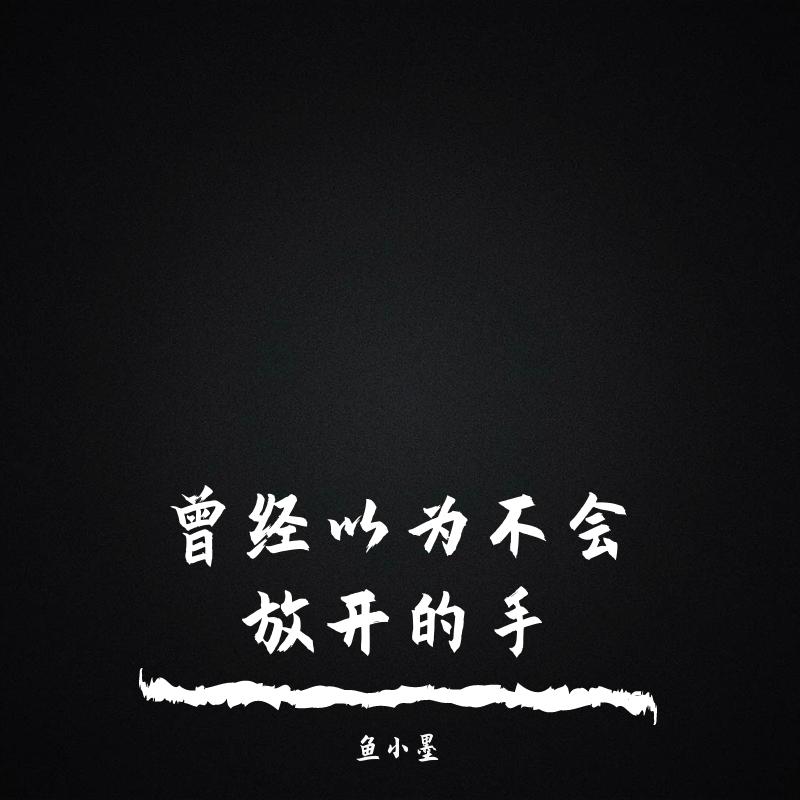不挽留没回头封面