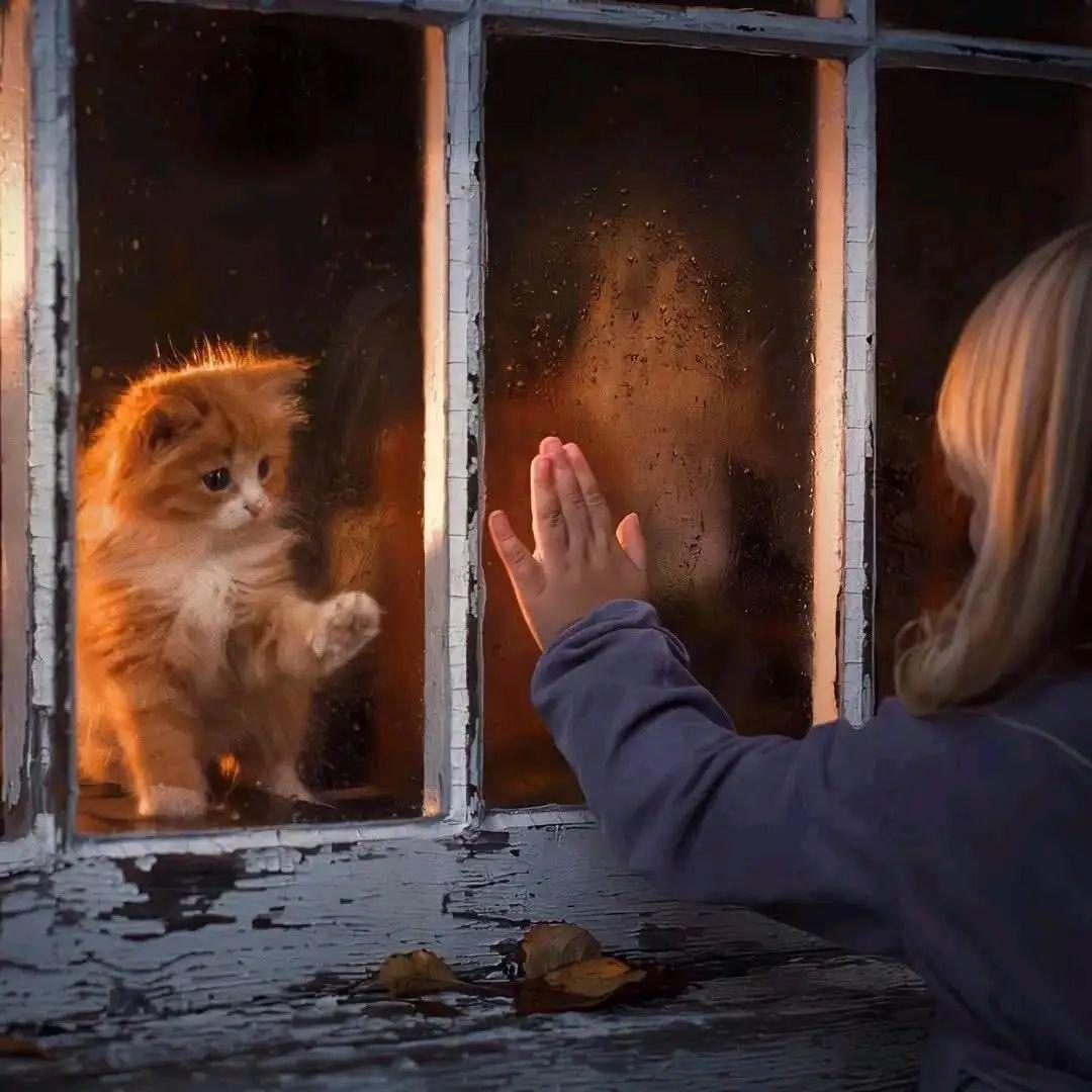 宿命的前奏：酸涩的BE旋律