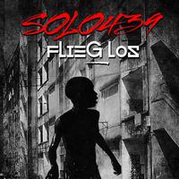 Flieg los
