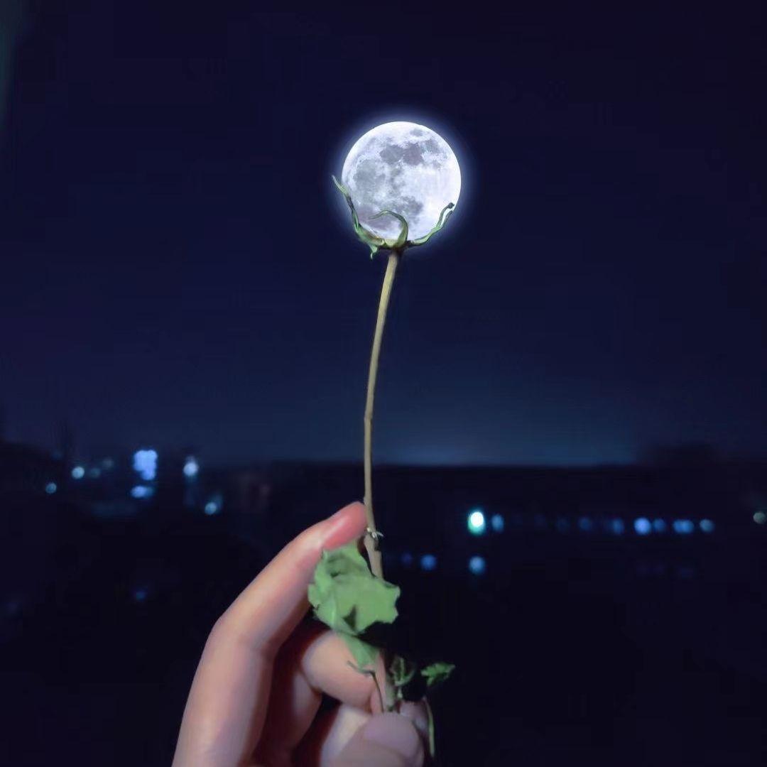 在你的身边封面