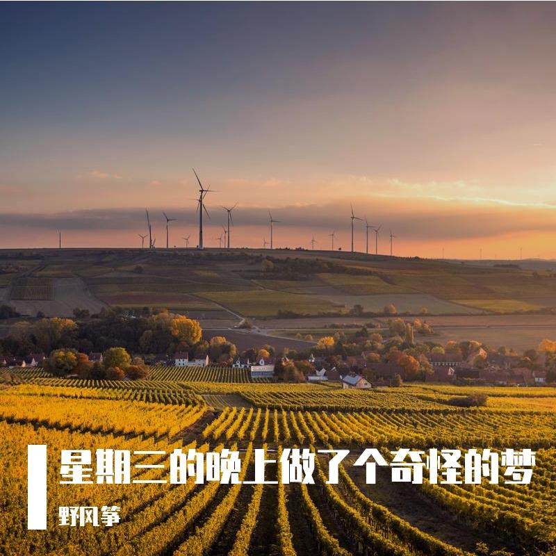 星期三的晚上做了个奇怪的梦封面