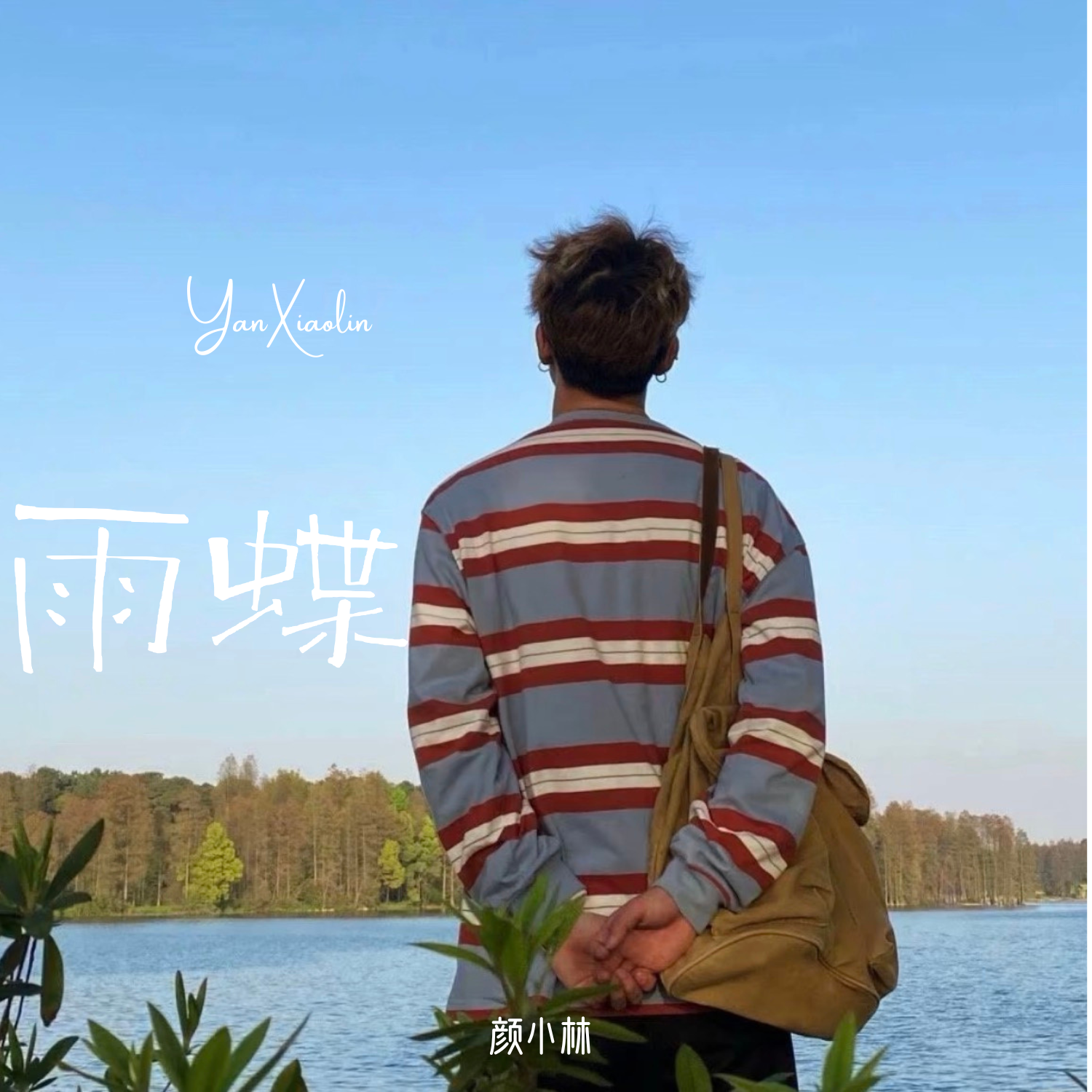 雨蝶 （微醺版）封面