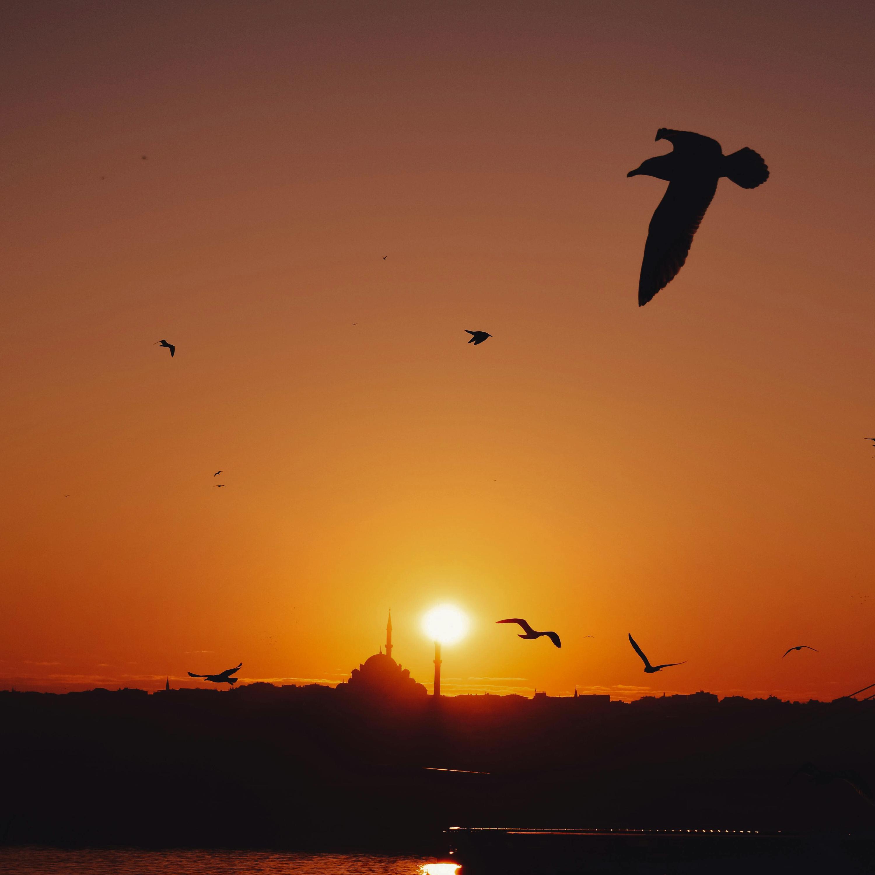 Virtual Love - Piano Version