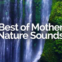 Best of Mother Nature Sounds