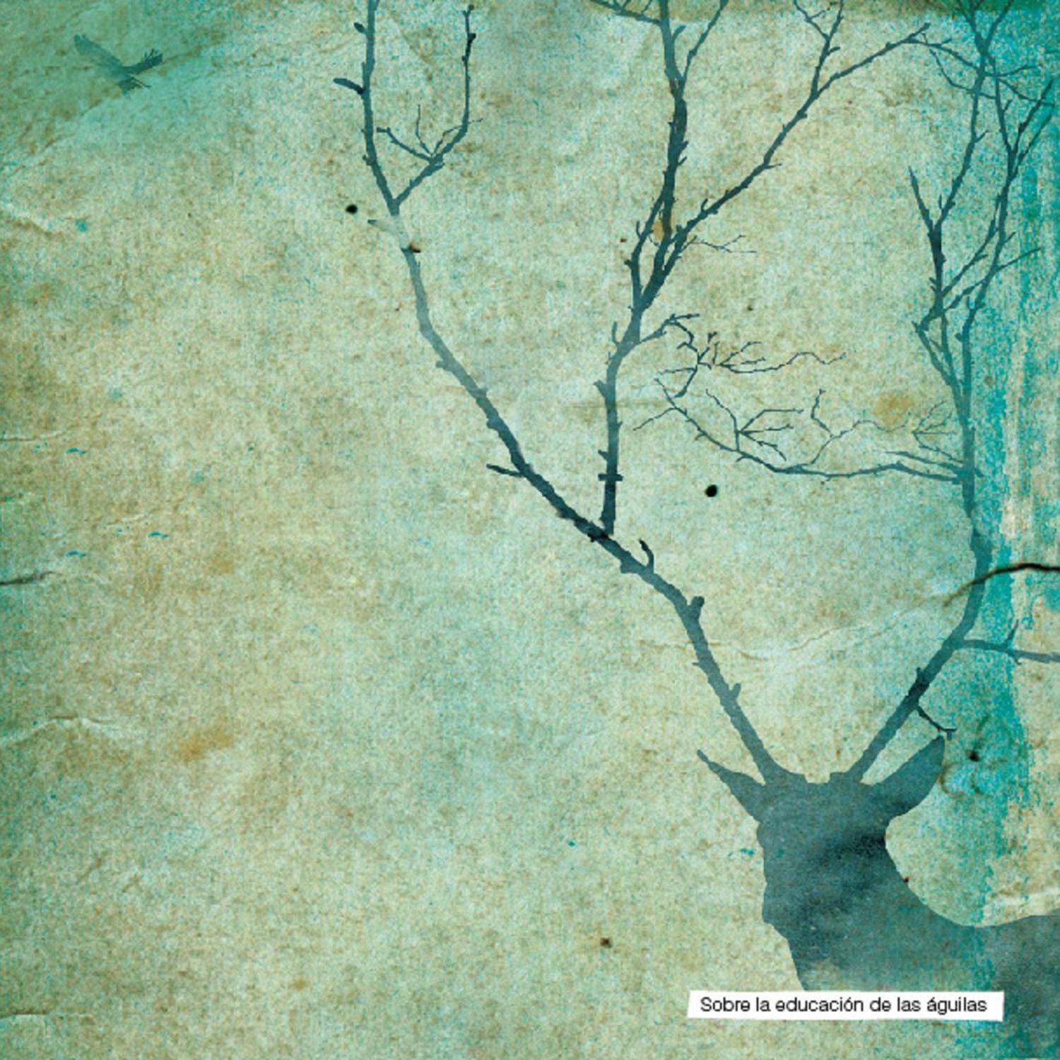 Going home_Blien Vesne_Sobre la educación de las águilas | 在线播放_Going home歌词_Going home下载 | 网易云音乐