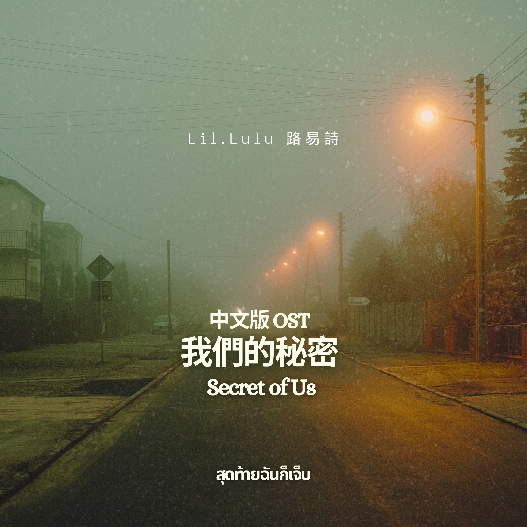 《我们的秘密》中文主题曲 "我最后还是受伤了" | The Secret of Us OST