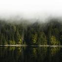 清冷森系冷调：云雾栖山涧 松风拂静湖