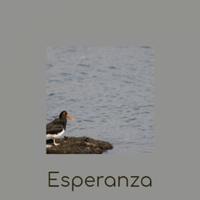 Esperanza