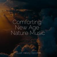 Comforting New Age Nature Music